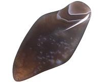 Achát šedý tromlovaný M