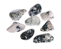 Achát stromečkový tromlovaný, 8 ks