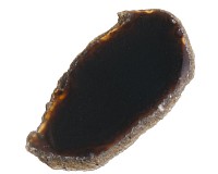 Achátový plátek 55 mm