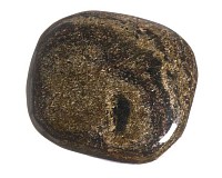 Bronzit, tromlovaná placička