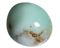 Chryzopras tromlovaný L, QAA