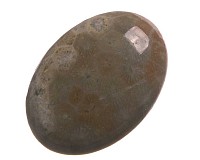 Fosilní korál, kabošon, ovál 30 mm