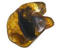 Jantar baltský 5,7 g