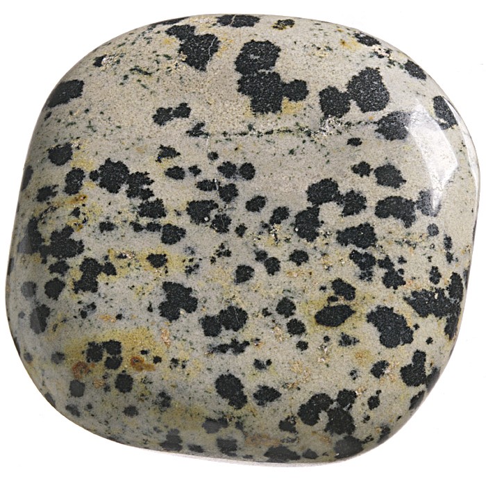 Jaspis dalmatin, tromlovaná placička 38 mm