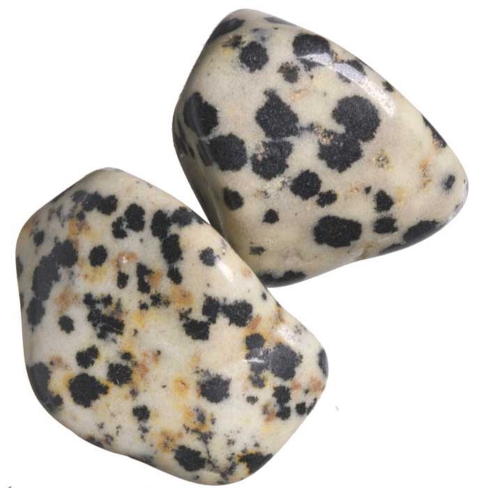Jaspis dalmatin tromlovaný M; 2 ks