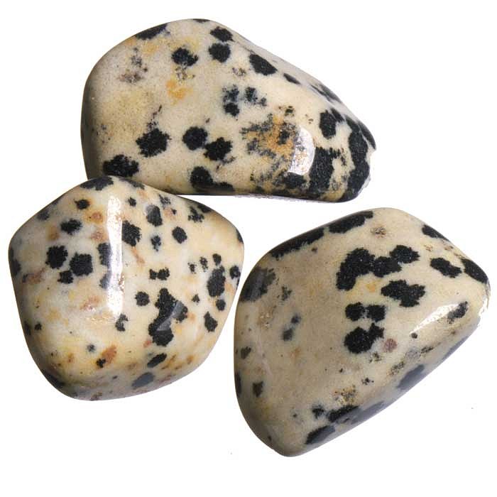 Jaspis dalmatin tromlovaný M; 3 ks