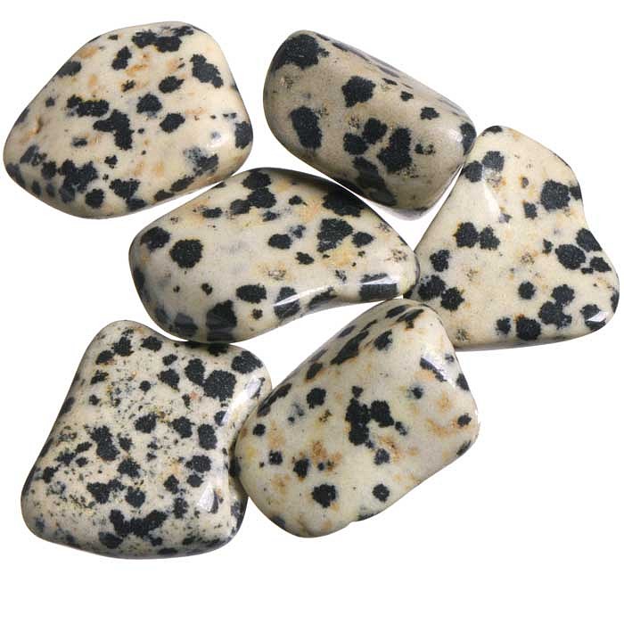 Jaspis dalmatin tromlovaný M; 6 ks