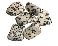 Jaspis dalmatin tromlovaný M; 6 ks