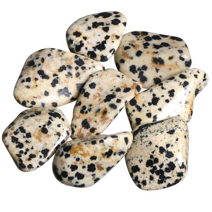 Jaspis dalmatin tromlovaný M; 8 ks