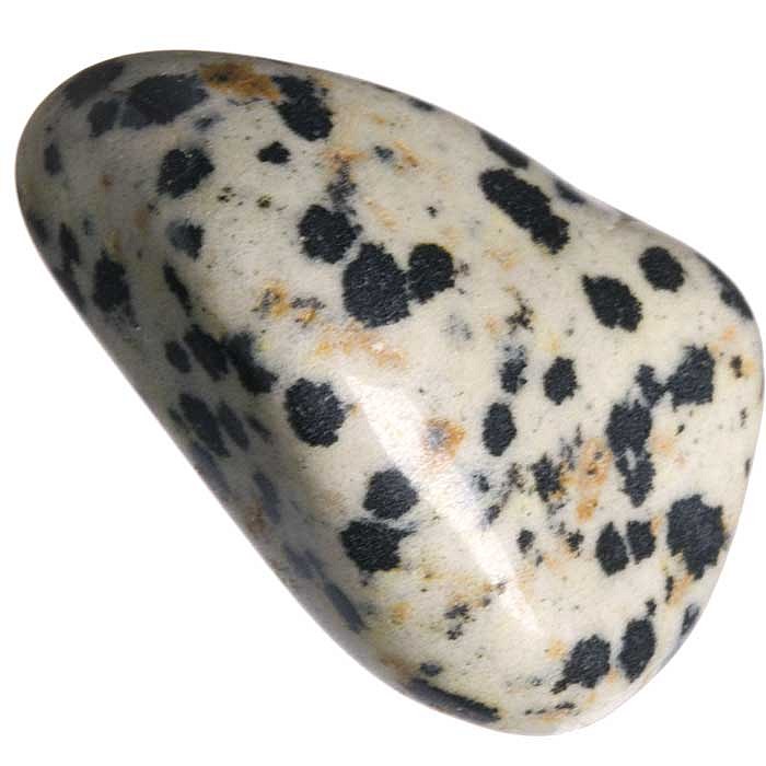 Jaspis dalmatin tromlovaný M