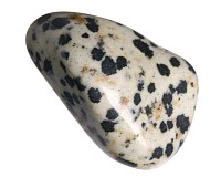 Jaspis dalmatin tromlovaný M