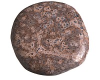 Jaspis leopard, tromlovaná placička 44 mm