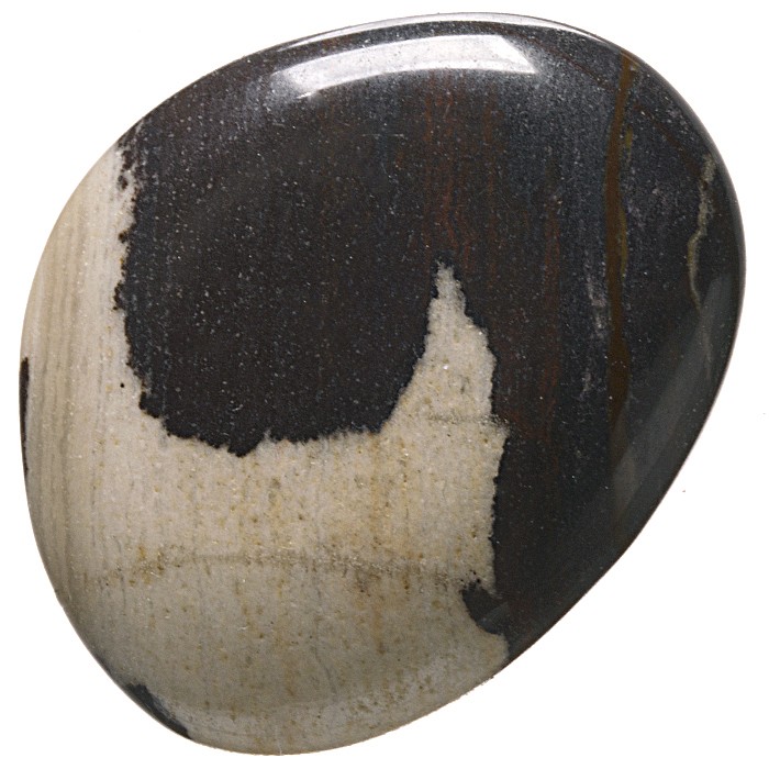 Jaspis zebra, tromlovaná placička 38 mm