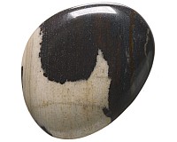 Jaspis zebra, tromlovaná placička 38 mm