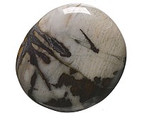 Jaspis zebra, tromlovaná placička 41 mm