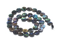 Korálek paua, kolečko 10 mm