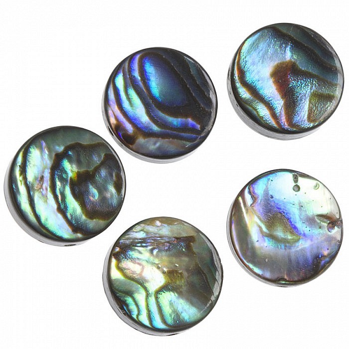 Korálek paua, kolečko 8 mm, 2 ks