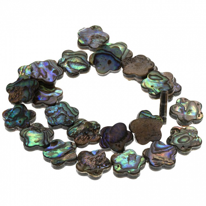 Korálek paua, kytička 16 mm