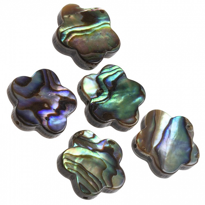 Korálek paua, kytička 16 mm