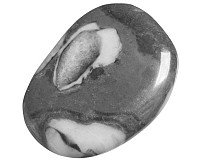 Mušlový kámen, tromlovaná placička 47 mm
