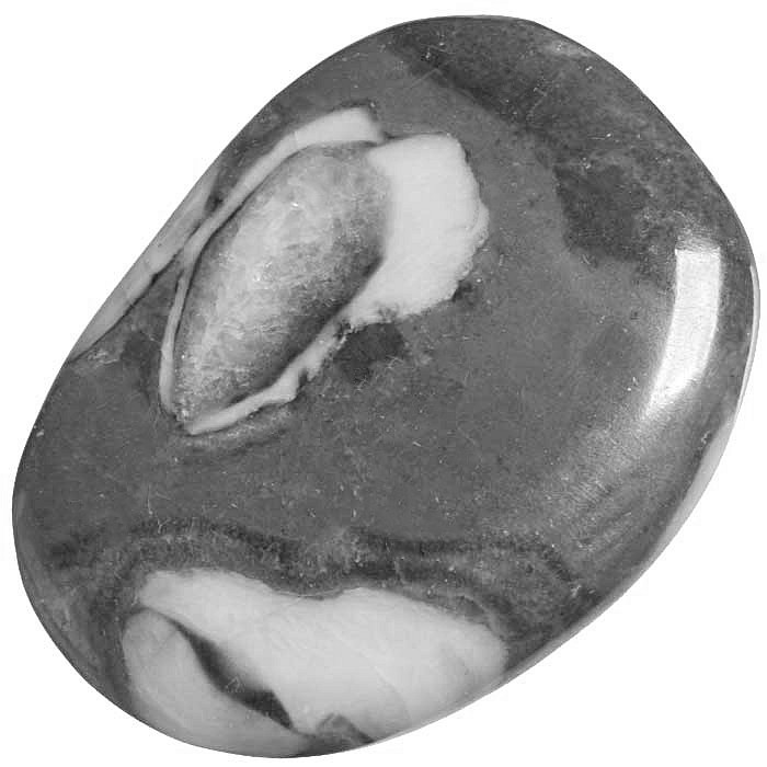 Mušlový kámen, tromlovaná placička 47 mm