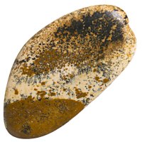 Jaspis obrázkový tromlovaný XL