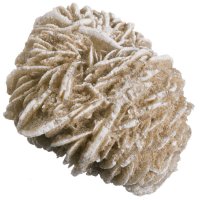 Sádrovec, růže 33 mm