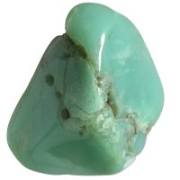 Chryzopras tromlovaný L, QAA