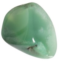 Chryzopras tromlovaný L, QAA