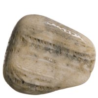 Zkamenělý korál tromlovaný M