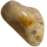 Zkamenělý korál tromlovaný M