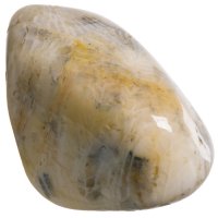 Zkamenělý korál tromlovaný M