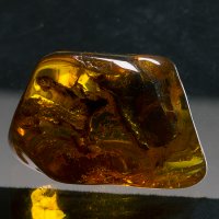 Jantar baltský 7,4 g