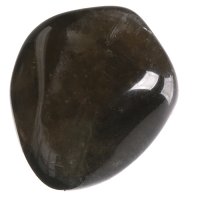 Záhněda tromlovaná M