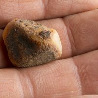 Jantar baltský surový 3,5 g