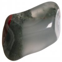 Heliotrop tromlovaný M