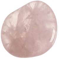 Růženín, tromlovaná placička 43 mm