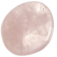 Růženín, tromlovaná placička 44 mm