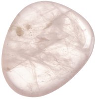 Růženín, tromlovaná placička 40 mm