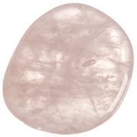 Růženín, tromlovaná placička 38 mm