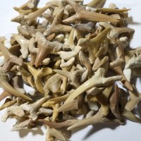 Žraločí zuby, 12-20 mm, 50 ks