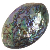 Paua mušle, přívěsek 60 mm