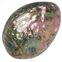 Paua mušle, přívěsek 61 mm