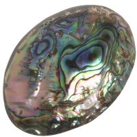 Paua mušle, přívěsek 54 mm