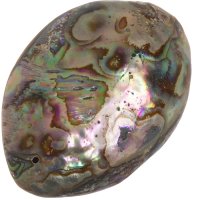 Paua mušle, přívěsek 56 mm