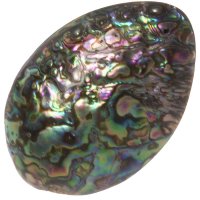 Paua mušle, přívěsek 61 mm