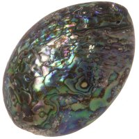 Paua mušle, přívěsek 61 mm