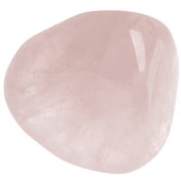 Růženín tromlovaný L