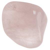 Růženín tromlovaný L