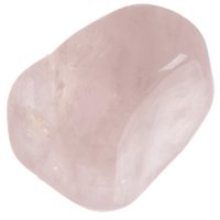 Růženín tromlovaný L